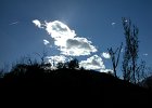 promenade  (21)